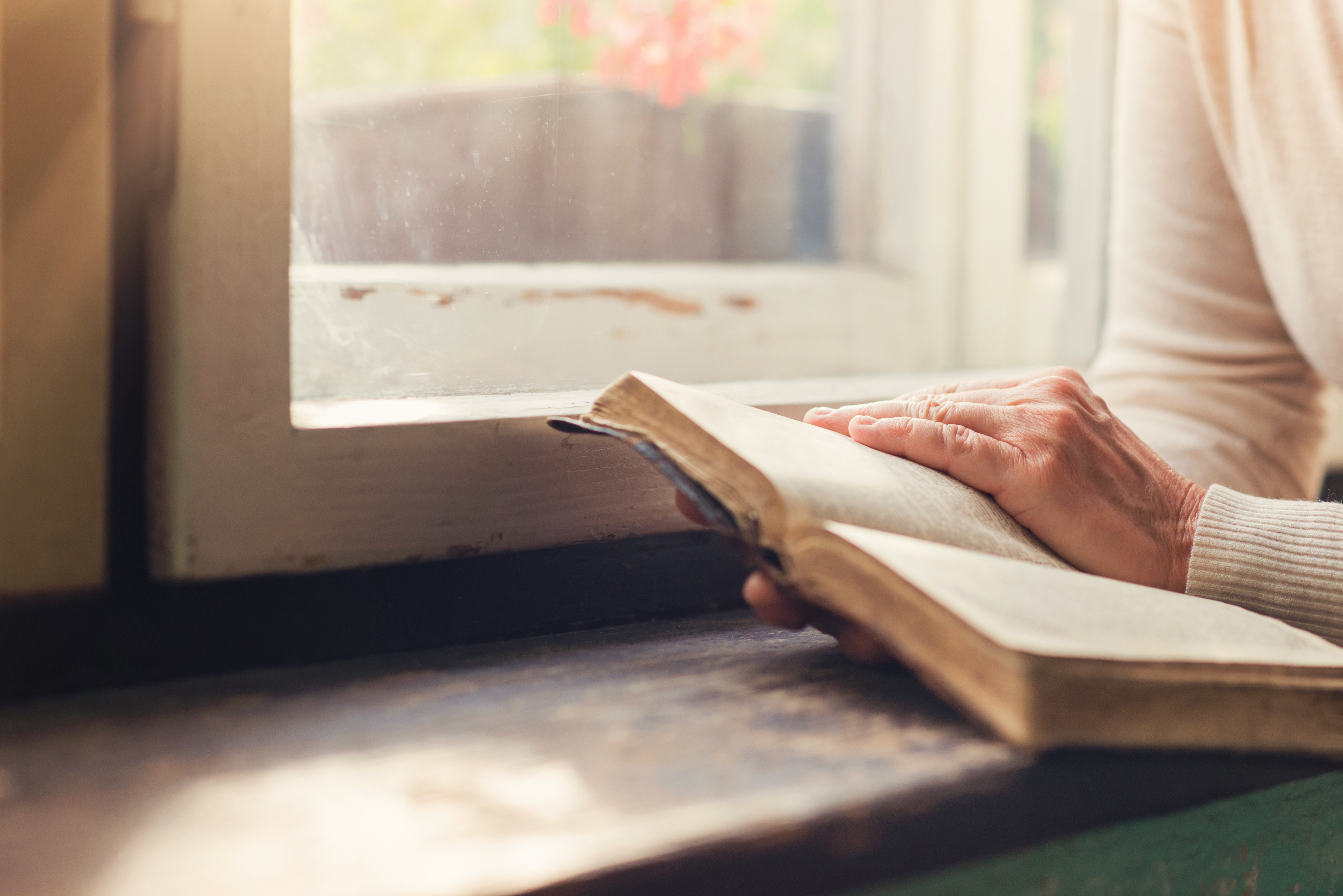 La Santa Biblia